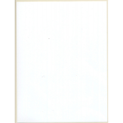 Erotic Study: Busty Topless Readhead Reading Book / Glasses (Digital Photo Print 2000s)