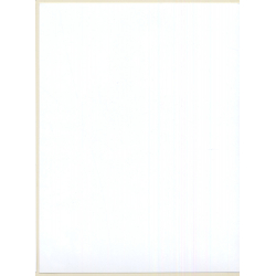 Erotic Study: Busty Brunette In Swimsuit Flashing Boobs (Digital Photo Print 2000s)