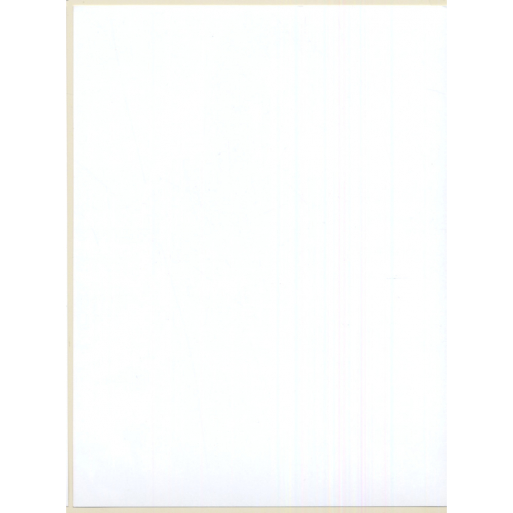 Erotic Study: Busty Brunette In Swimsuit Flashing Boobs (Digital Photo Print 2000s)