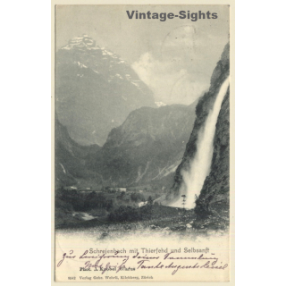 Switzerland: Schreienbach Mit Thierfehd Und Selbstsanft (Vintage PC 1903)