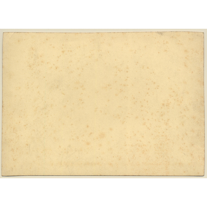 Nice Portrait Of Sweet Little Dog & His Owner (Vintage Photo Sepia ~1920s)