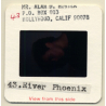 River Phoenix / Hollywood Actor *1 (Vintage Press Diapositive ~1980s)
