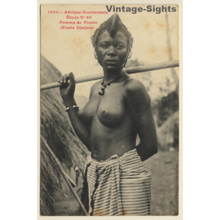 Afrique Occidentale: Femme De Timbo / Risqué - Ethnic Nude (Vintage PC ~1910s)