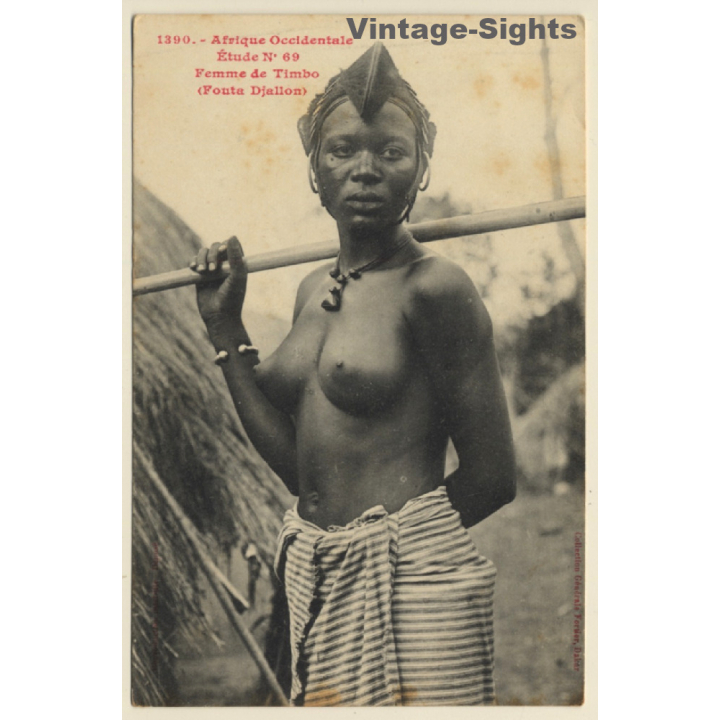 Afrique Occidentale: Femme De Timbo / Risqué - Ethnic Nude (Vintage PC ~1910s)