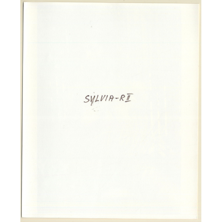 Erotic Study: Busty Dark-Skinned Nude Sitting On Chair*2 (Vintage Photo KORENJAK 1970s/1980s)