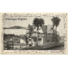New Zealand: Auckland Harbour From Glenalvon (Vintage PC 1904)