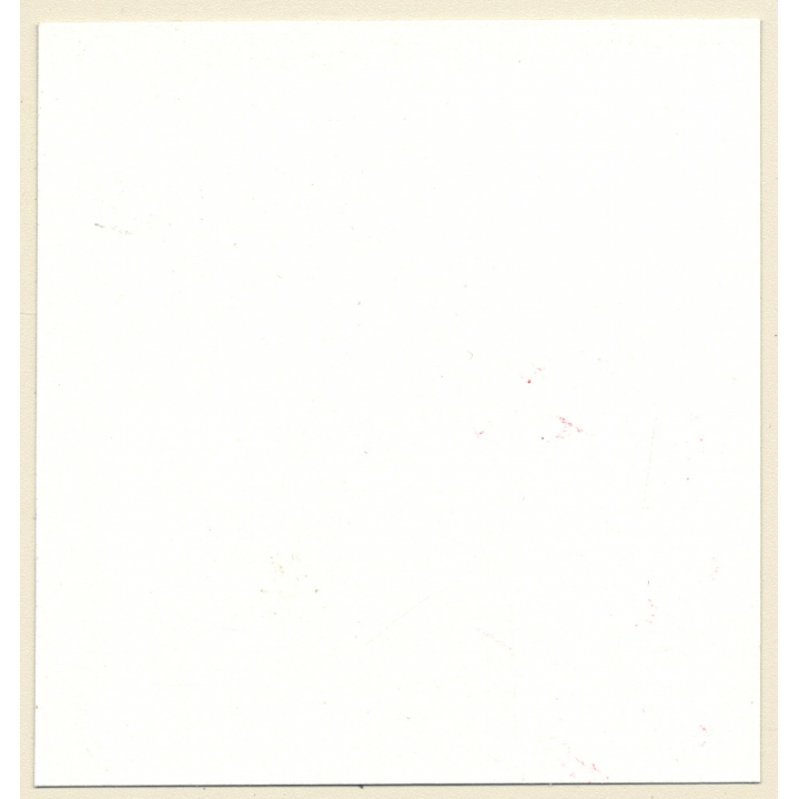 Transsexual Woman With Whip In Leather Dress *2 (Vintage Contact Sheet Photo 1970s/1980s)