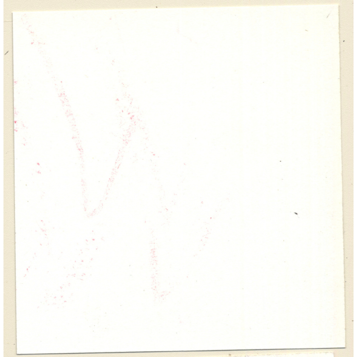 Transsexual Woman With Whip In Leather Dress *4 (Vintage Contact Sheet Photo 1970s/1980s)