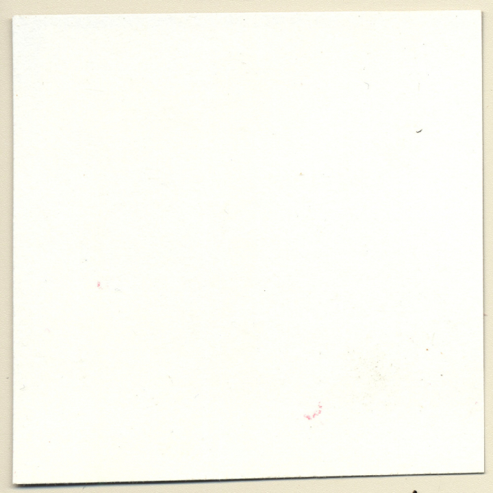 Transsexual Woman With Whip In Leather Dress *5 (Vintage Contact Sheet Photo 1970s/1980s)