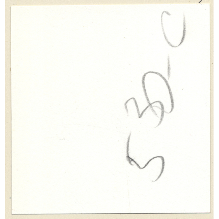 Transsexual Woman With Whip In Leather Dress *6 (Vintage Contact Sheet Photo 1970s/1980s)