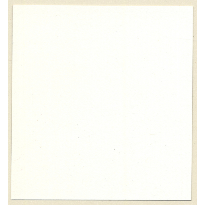 Transsexual Woman With Whip In Leather Dress *7 (Vintage Contact Sheet Photo 1970s/1980s)