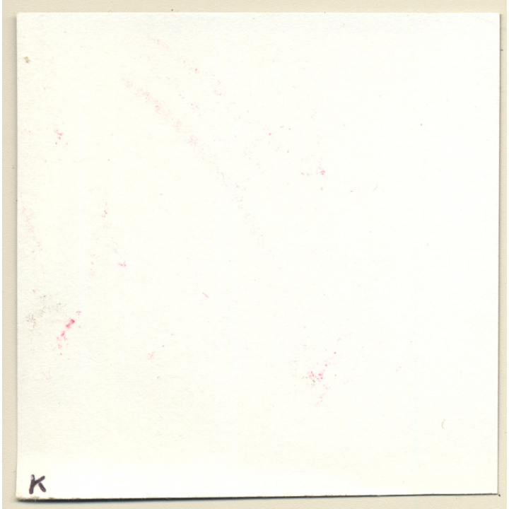 Transsexual Woman With Whip In Leather Dress *8 (Vintage Contact Sheet Photo 1970s/1980s)