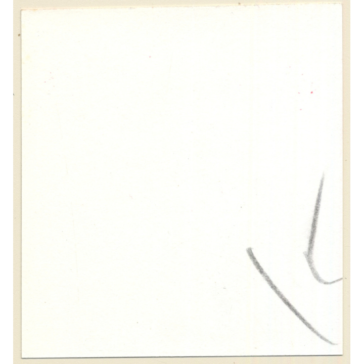 Transsexual Woman With Whip In Leather Dress *9 (Vintage Contact Sheet Photo 1970s/1980s)