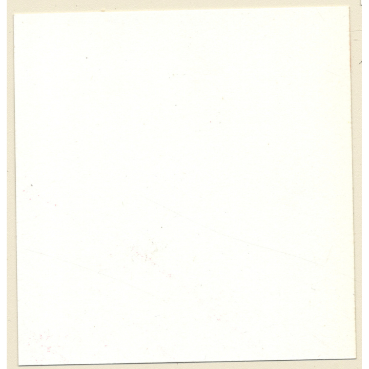 Transsexual Woman With Whip In Leather Dress *10 (Vintage Contact Sheet Photo 1970s/1980s)