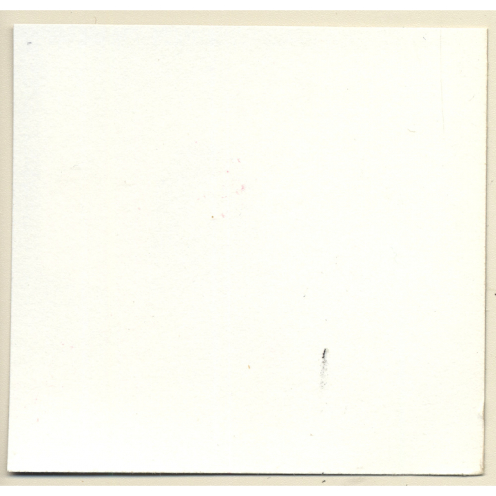 Transsexual Woman With Whip In Leather Dress *11 (Vintage Contact Sheet Photo 1970s/1980s)