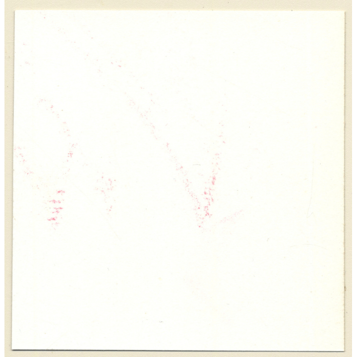 Transsexual Woman With Whip In Leather Dress *12 (Vintage Contact Sheet Photo 1970s/1980s)