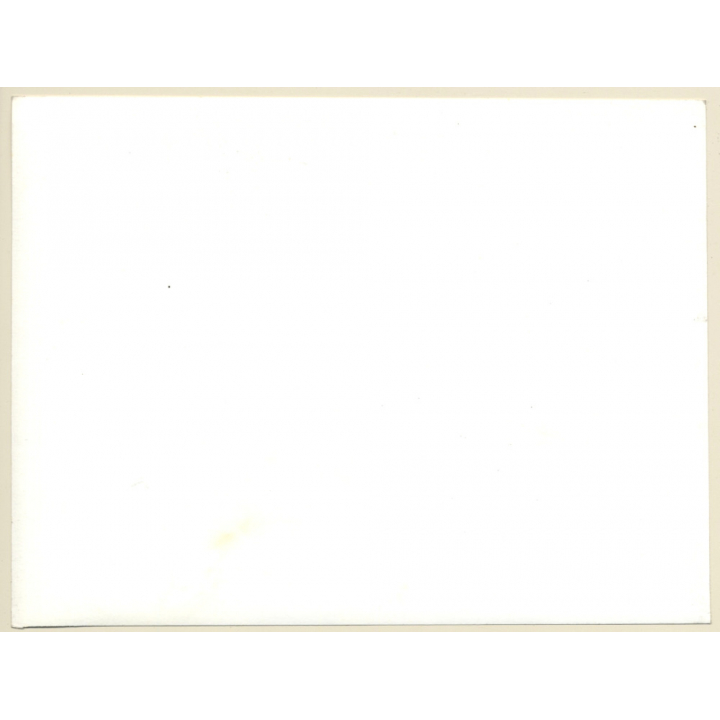 Jerri Bram (1942): Pretty Hippie Girl Leaning Against Tree (Vintage Photo ~1970s)