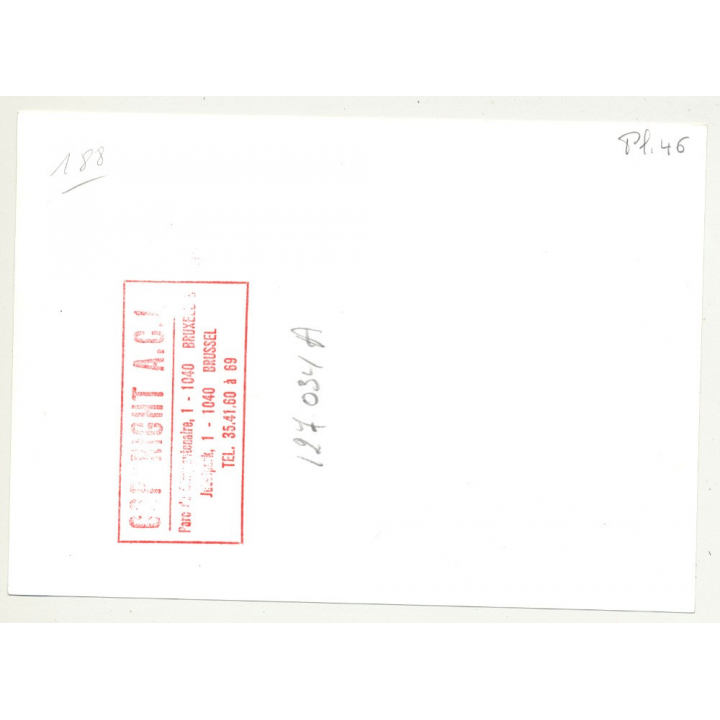 Hotel Du Musée 3 - Waterloo / Belgium (Vintage A.C.L. Archive Photo B/W ~1950s)