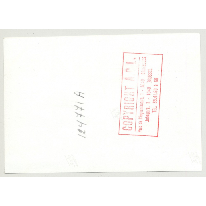 Hotel Du Musée 5: Outbuilding - Waterloo / Belgium (Vintage A.C.L. Archive Photo B/W ~1950s)