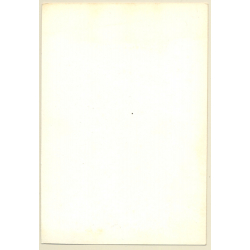 Pretty Slim Nude In Transparent Morning Gown / Beehive (2nd Gen. Photo ~1960s)