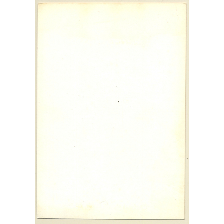 Pretty Slim Nude In Transparent Morning Gown / Beehive (2nd Gen. Photo ~1960s)