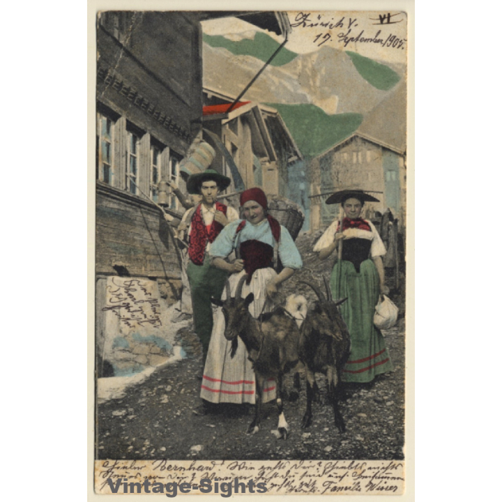 Swiss Farmers In Traditional Garb / Goats (Vintage PC 1905)