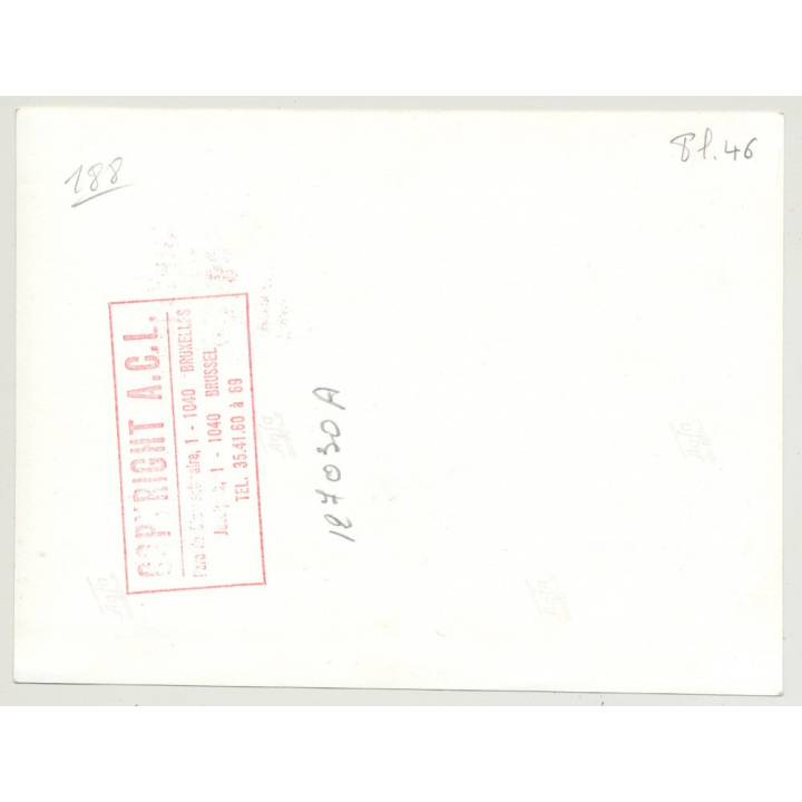 Hotel Du Musée 7: Bird's-Eye View - Waterloo / Belgium (Vintage A.C.L. Archive Photo B/W ~1950s)