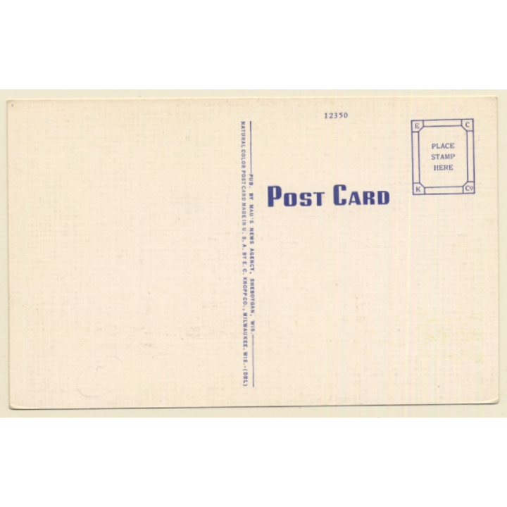 Sheboygan / USA: Masonic Temple (Vintage PC ~1930s/1940s)