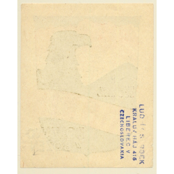 Bolzano - Bozen / Italy: Hotel Greif (Vintage Luggage Label)