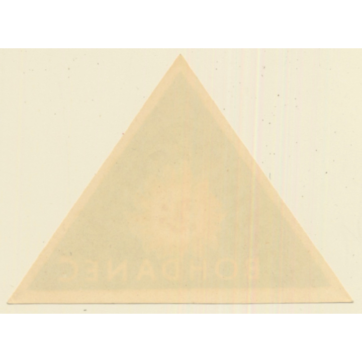 Bohdaneč / Czechia: Srubovy Tábor (Vintage Luggage Label)