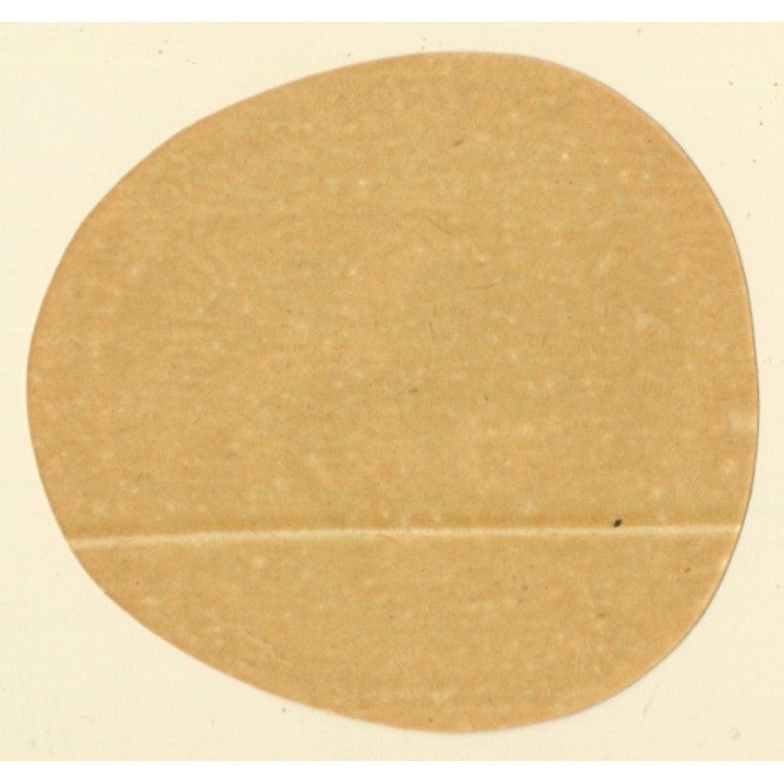 Oravsky Podzámok / Slovakia: Mezinarodni Tabor Cestovni Kancelare CSM (Vintage Luggage Label)