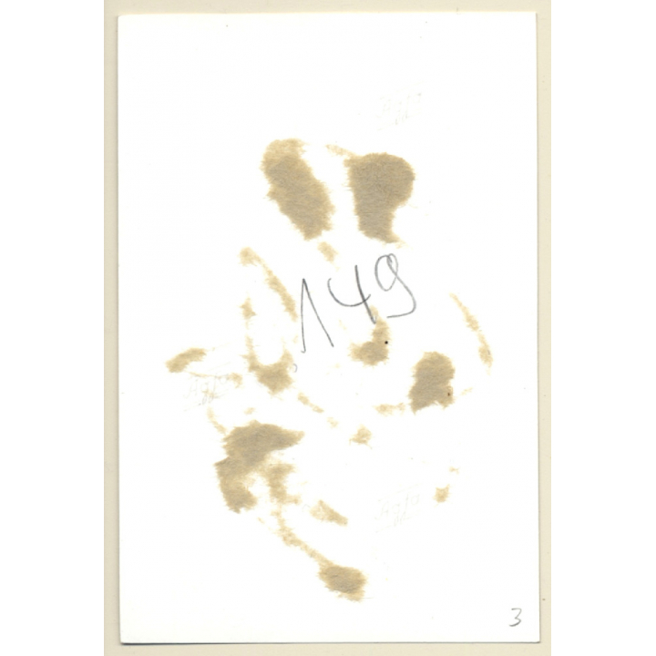 Darkhaired Maid Tied In Dungeon / Bondage - Gag - BDSM (2nd Gen. Photo 1960s)