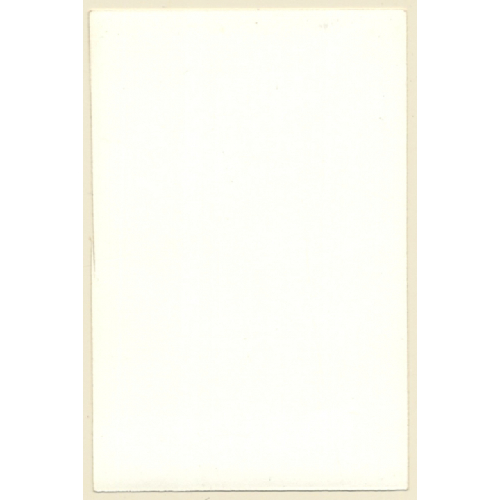 Erotic Study: Busty Natural Nude On Beach Rocks (Vintage Photo ~1950s/1960s)