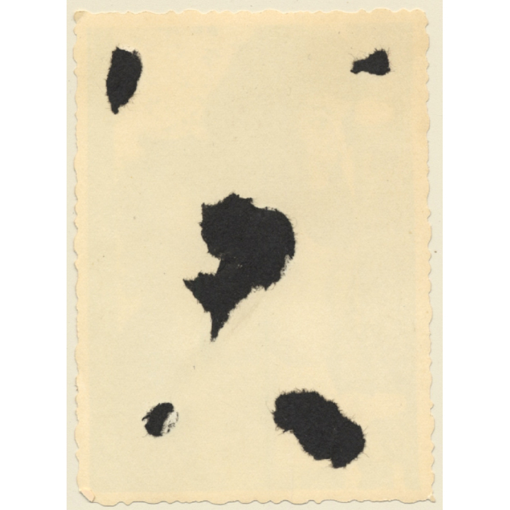 Racy Darkhaired Nude Pin-Up Bends Forward (Vintage Photo ~1950s/1960s)