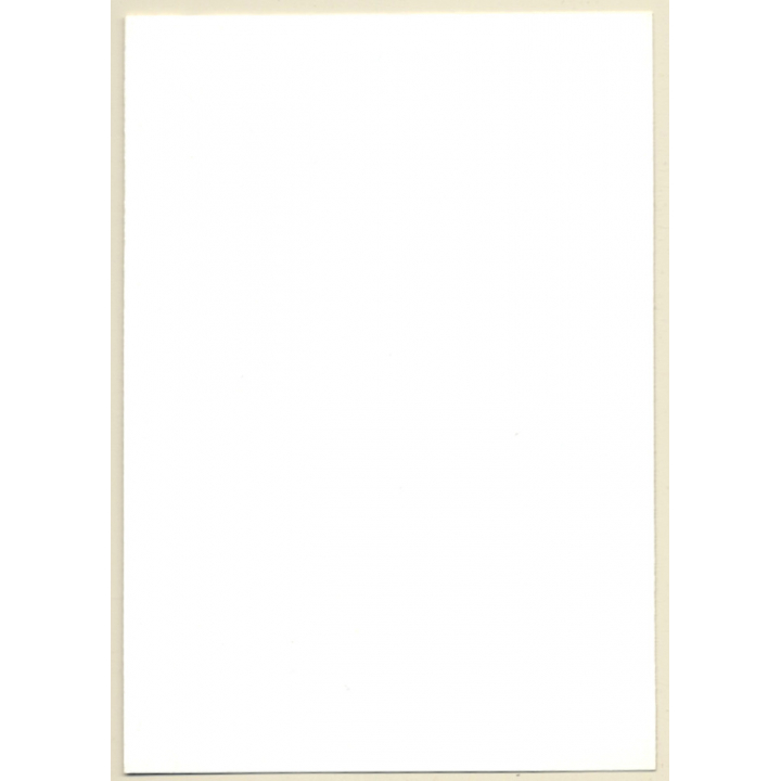 Erotic Study: Busty Brunette Nude Closing Suspenders / Fishnets (Vintage Photo GDR ~1980s)