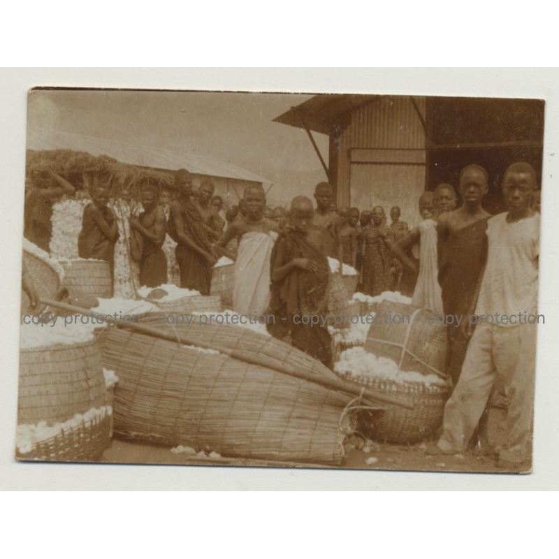 Group Of African People At Cotton Wool Market / Congo? (Vintage Photo B/W 1920s/1930s)