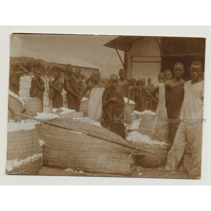 Group Of African People At Cotton Wool Market / Congo? (Vintage Photo B/W 1920s/1930s)