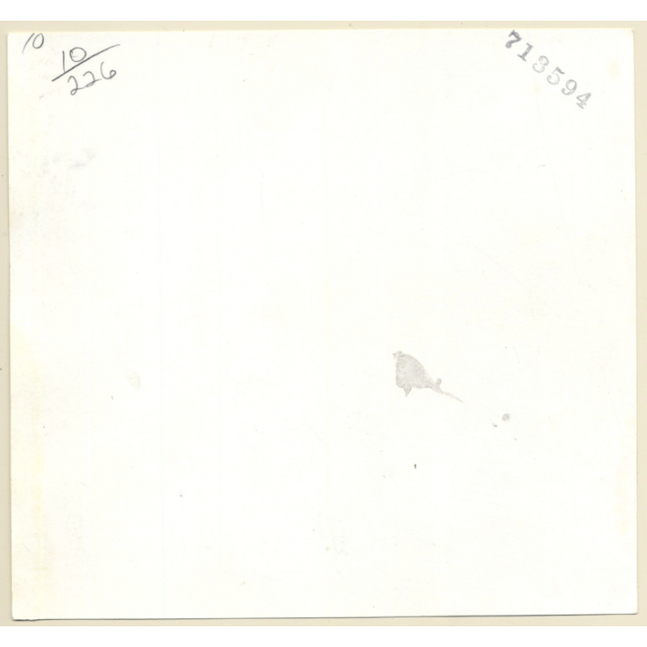 Erotic Study: Nude Hugging Nude Girlfriend From Behind / Tan Lines - Lesbian INT (Vintage Photo KORENJAK 1970s/1980s)