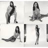 Erotic Study: Pin-Up Jackie Miller / Legs - Leopards Skin (Vintage Contact Sheet - 12 Photos 1970s/1980s)
