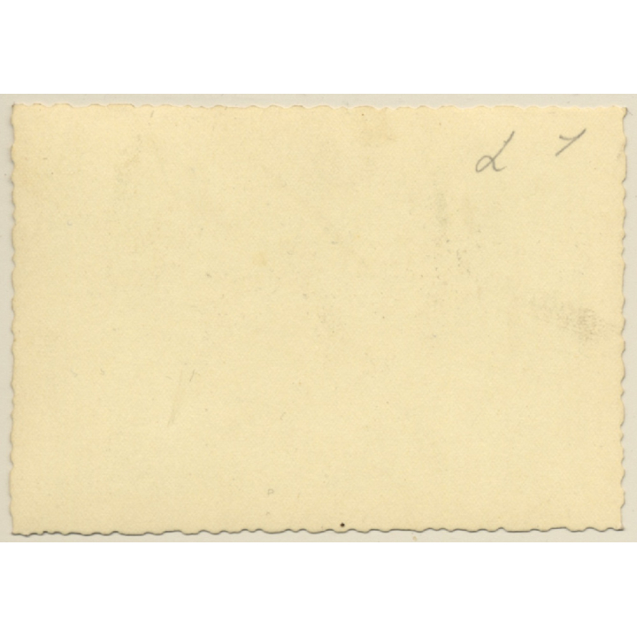 Belgium: Fully Costumed Carnival Guild At Parade (Vintage Photo ~1940s/1950s)