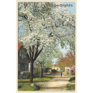 Nonnenhorn am Bodensee / Germany: Street View (Vintage Artist PC)