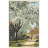 Nonnenhorn am Bodensee / Germany: Street View (Vintage Artist PC)