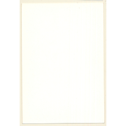 Erotic Study: 2 Natural French Nudes Posing Together (Vintage Photo ~1980s)