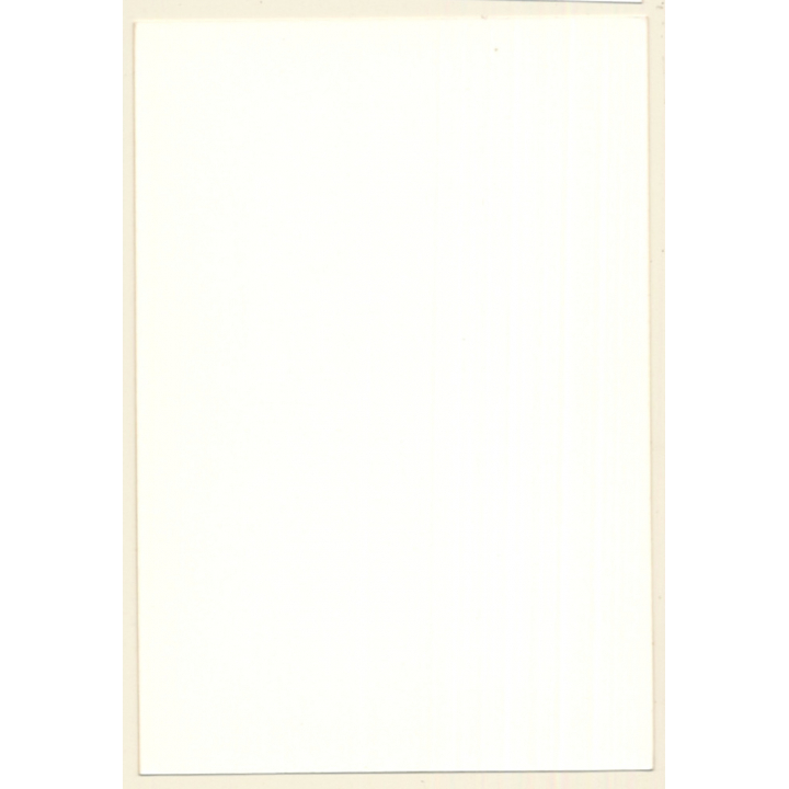 Erotic Study: 2 Natural French Nudes Posing Together (Vintage Photo ~1980s)