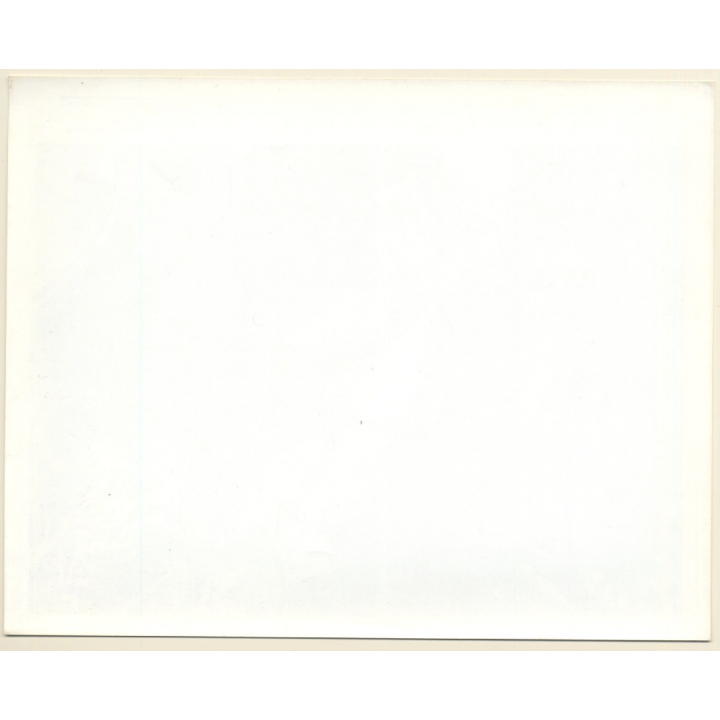 Bo Derek: Tarzan, The Ape Man / Movie Still (Vintage Photo 1981)