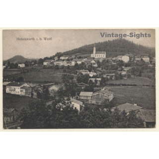 Hohenwarth i.b. Wald / Germany: Partial View (Vintage PC 1925)