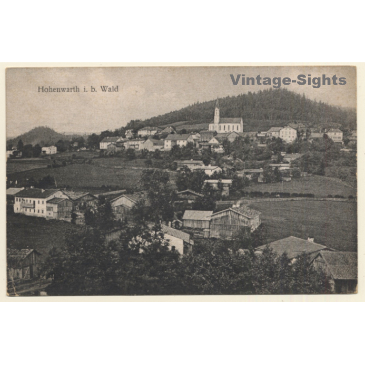 Hohenwarth i.b. Wald / Germany: Partial View (Vintage PC 1925)