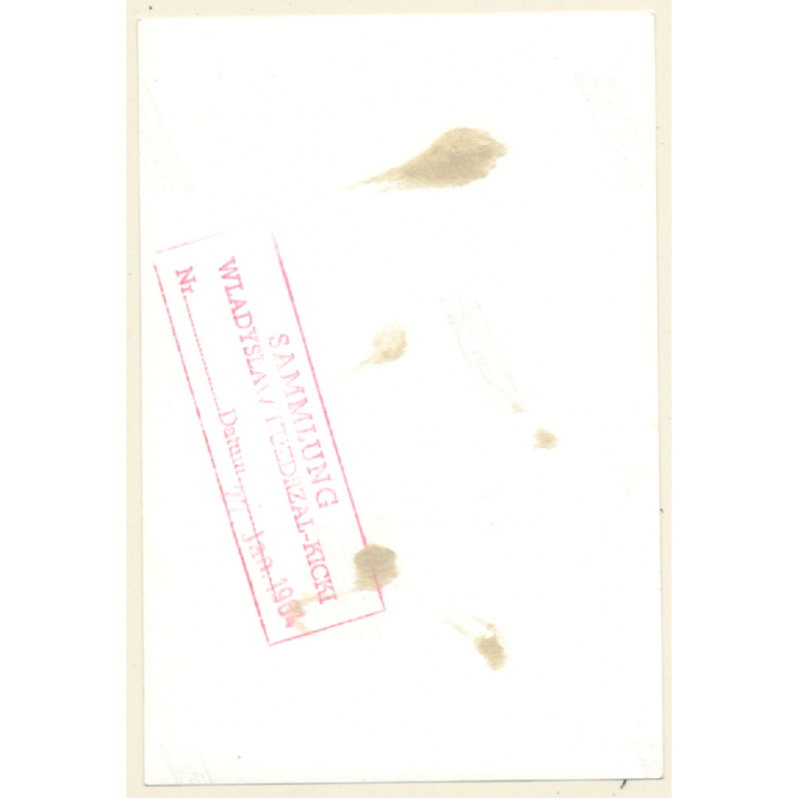 Darkhaird Semi Nude Maid Tied To Chair / Gag - Tan Lines - BDSM (2nd Gen. Photo 1960s)