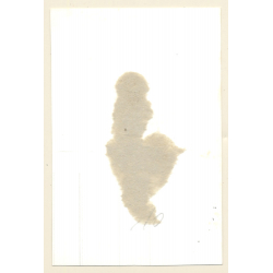 Darkhaird Nude Maid With Chain Collar / Tan Lines - BDSM (2nd Gen. Photo 1960s)