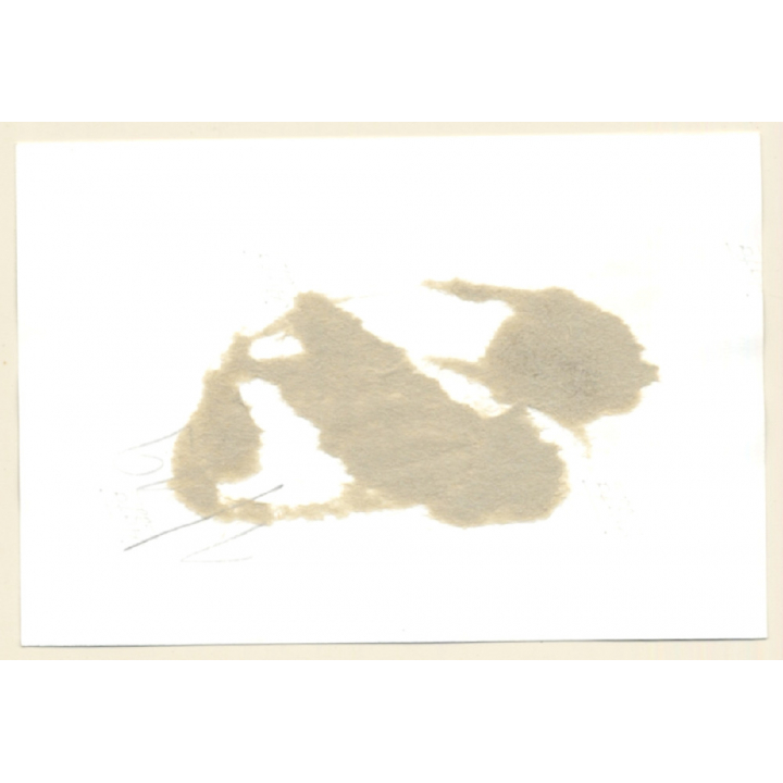 Nude Blonde With Chain Collar & Handcuffs / BDSM (2nd Gen. Photo 1960s)